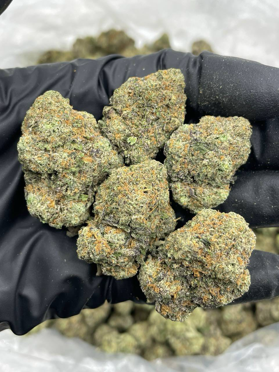 Frozen Starburst strain